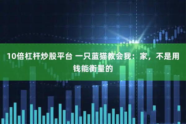 10倍杠杆炒股平台 一只蓝猫教会我：家，不是用钱能衡量的