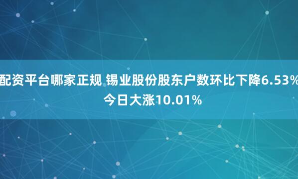 配资平台哪家正规 锡业股份股东户数环比下降6.53%  今日大涨10.01%